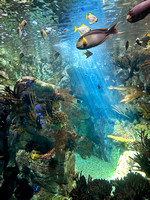 WICP %22Something's Fishy Under The Sea%22 Aquarium  001